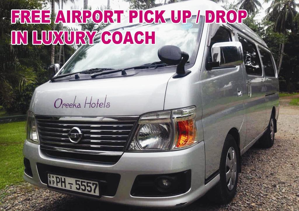 Oreeka - Airport Transit